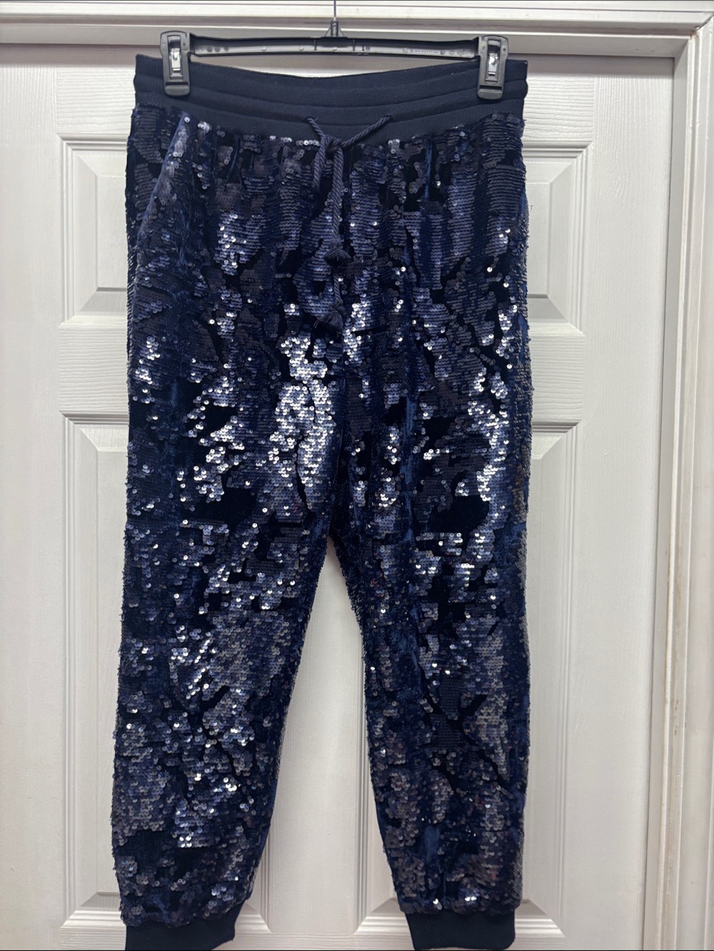 Ett:twa by Anthropologie Navy Sequin & Velvet Jogger Pants